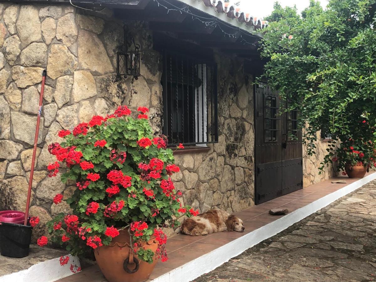 Finca Vergel กาตา ภายนอก รูปภาพ