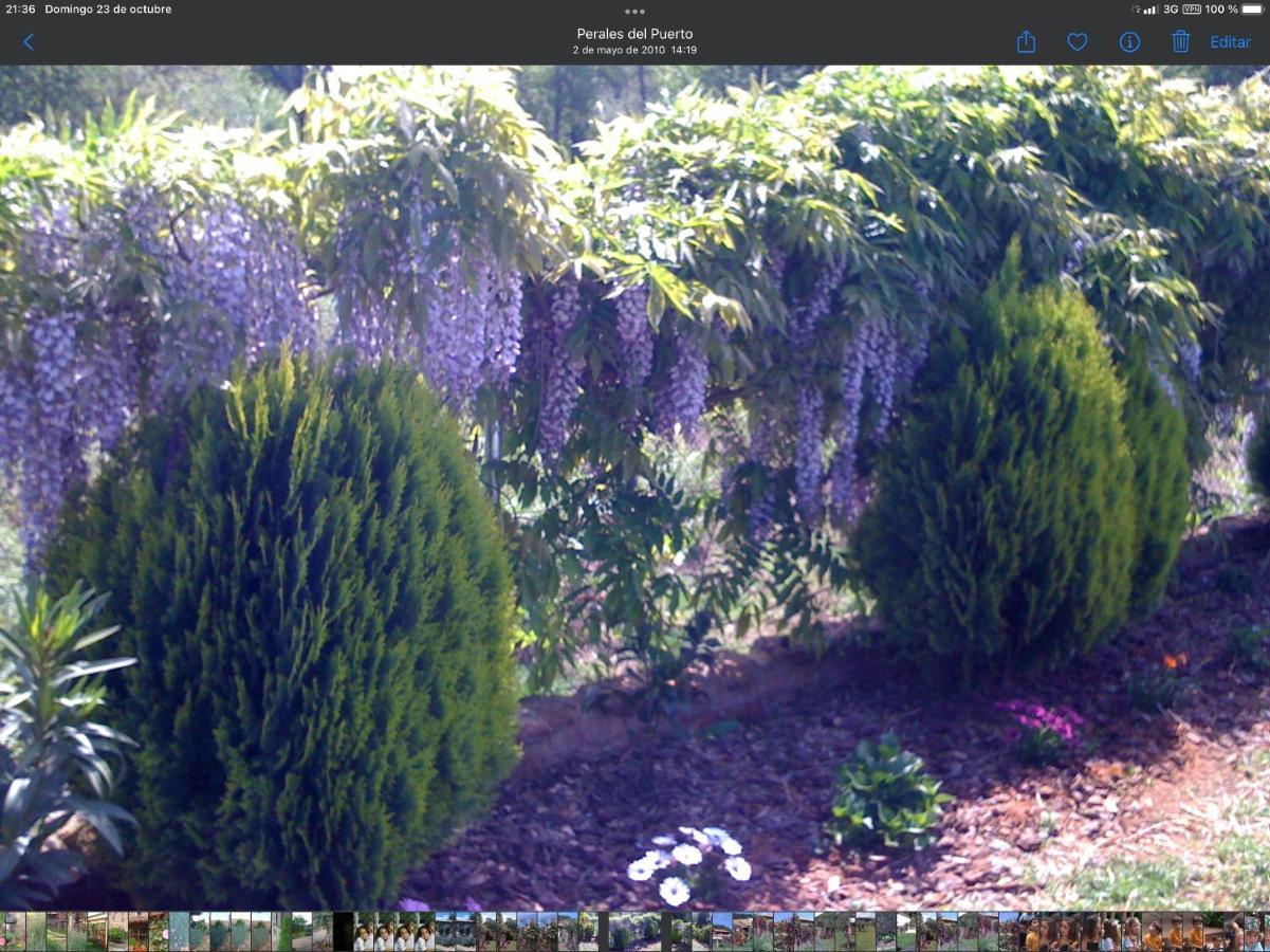 Finca Vergel กาตา ภายนอก รูปภาพ
